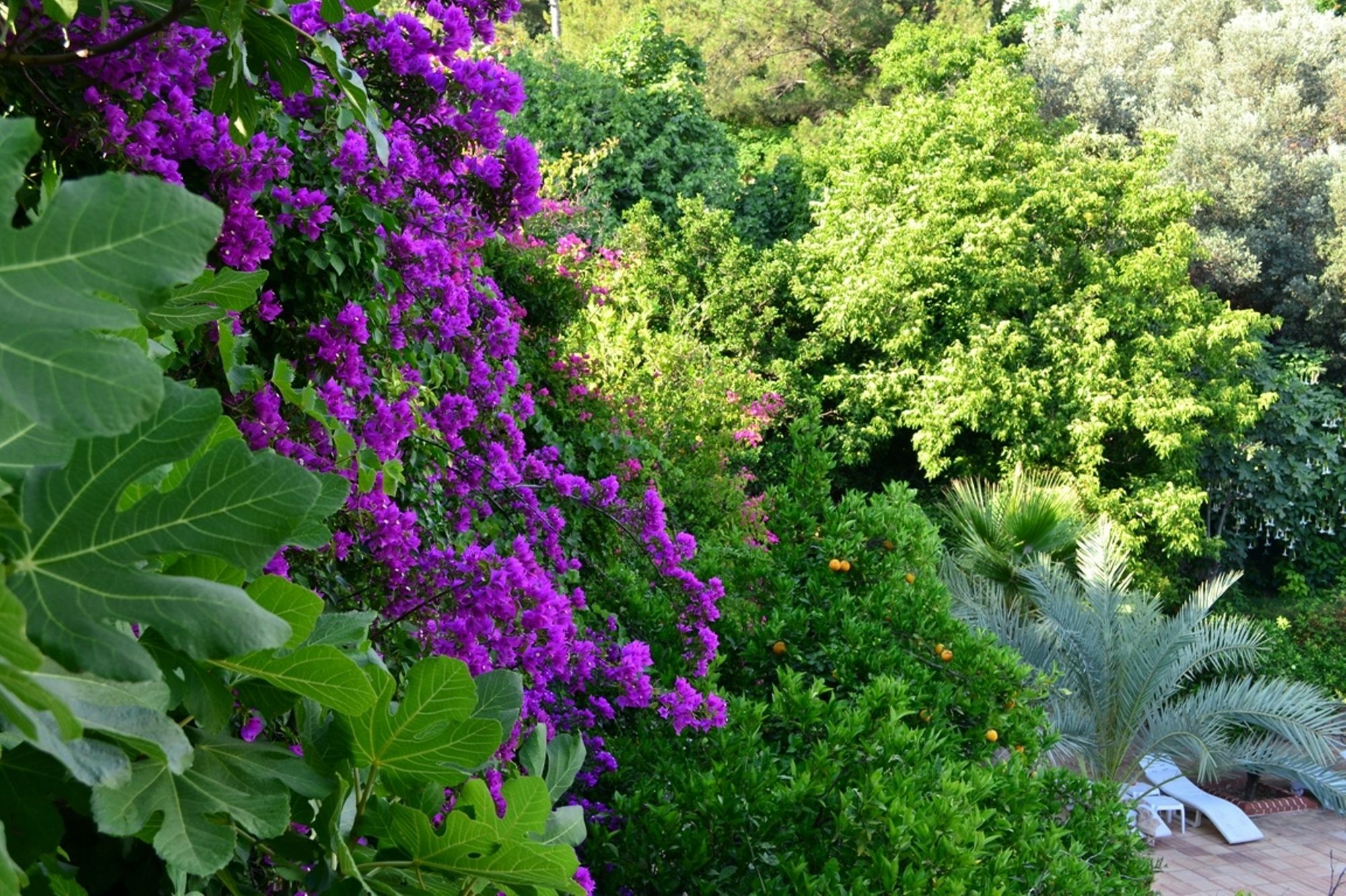 Paradise Garden Hotel 올루데니스 외부 사진